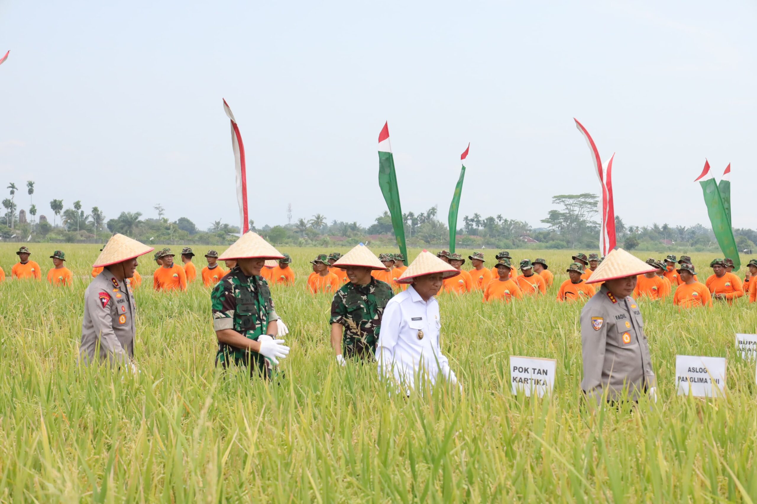 Dukung Program Ketahanan Pangan, Danlantamal I Hadiri Panen Raya Padi Bersama Panglima TNI