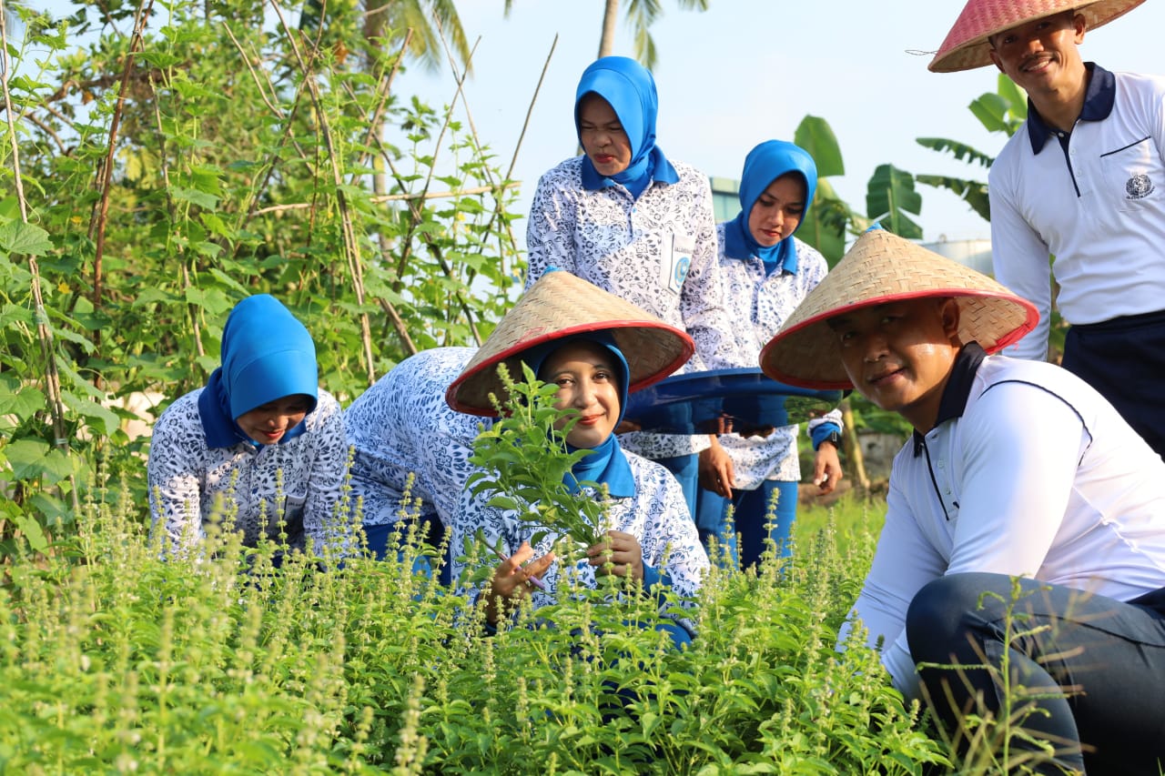 Langkah Strategis Wujudkan Swasembada Pangan, Lanal Dumai Kembali Panen Aneka Sayur Segar di Kebun Ketahanan Pangan