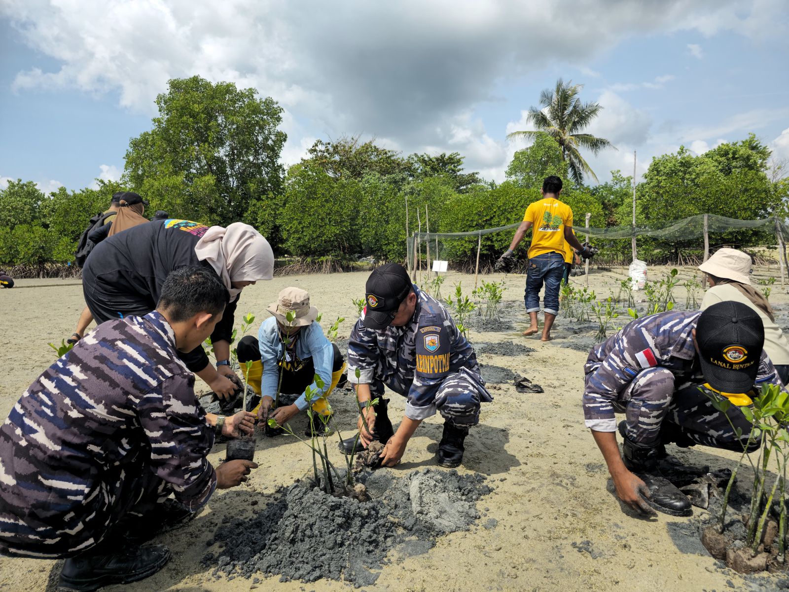 Peduli Keberlangsungan Ekosistem Laut, Lanal Bintan Turut Serta Penanaman 15.000 Bibit Mangrove