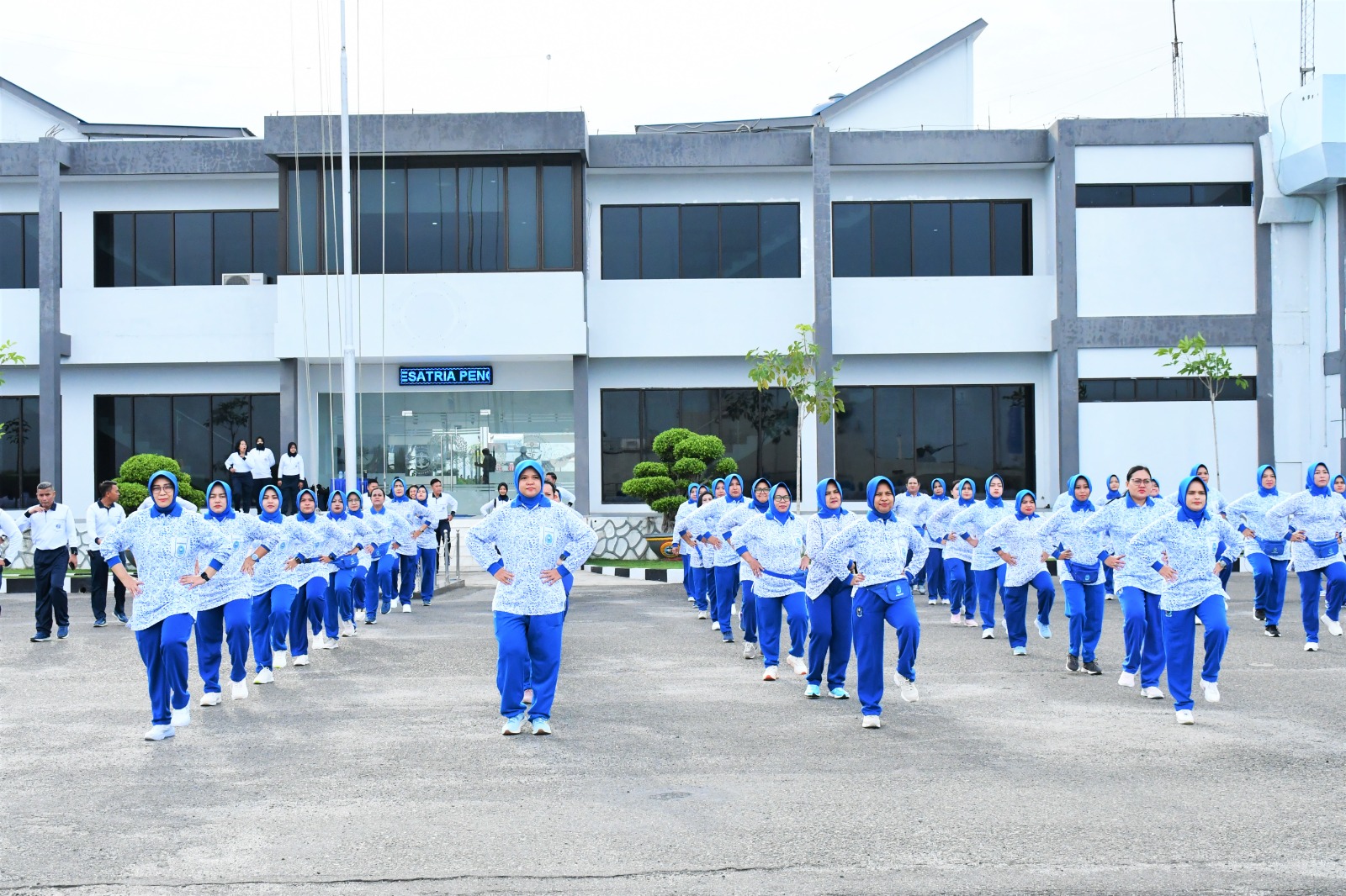 Jalasenastri