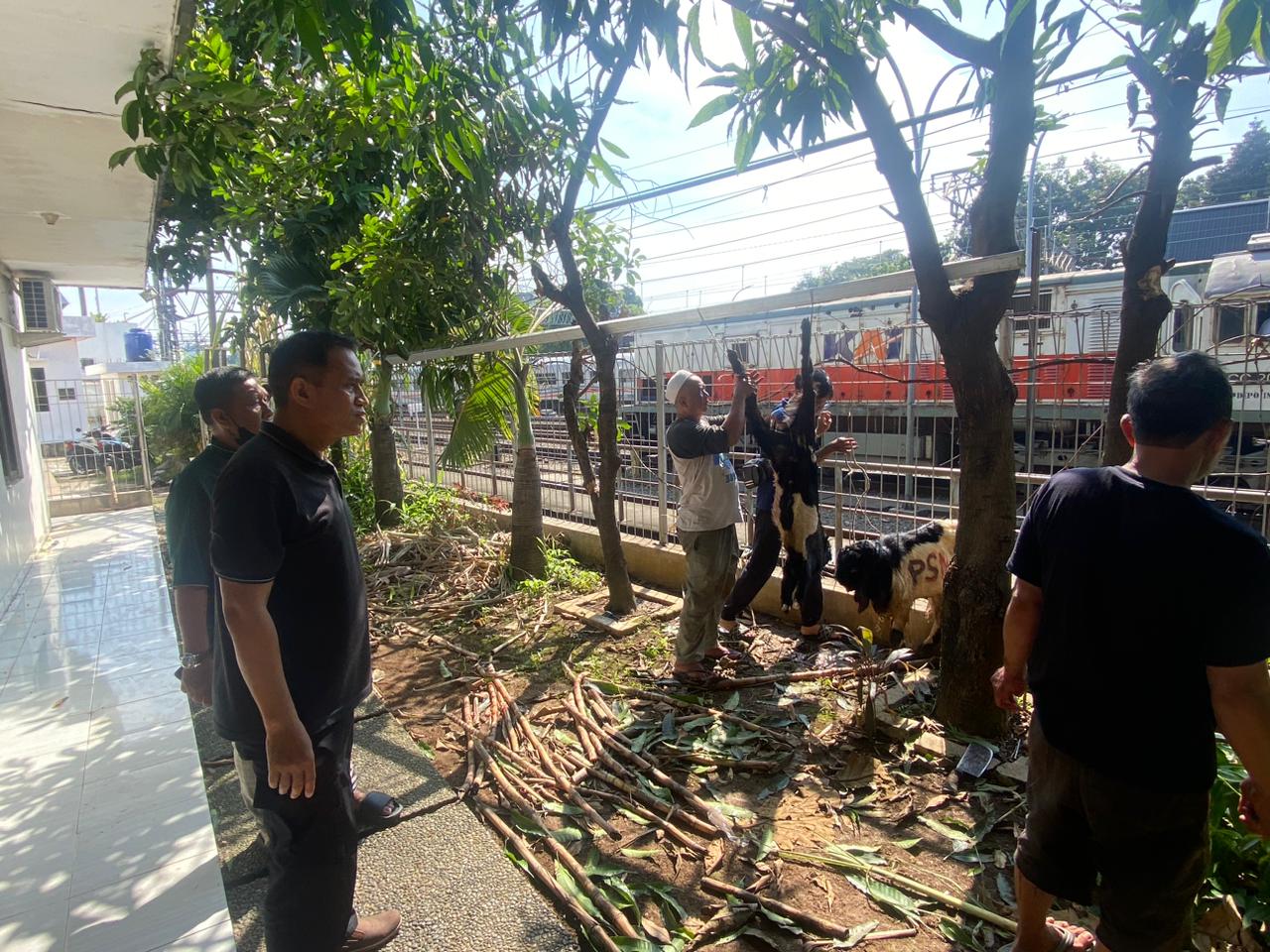 Polsek Senen Gelar Pemotongan Hewan Kurban Idul Adha 1447 H, 14 Kambing dan 1 Sapi Disembelih
