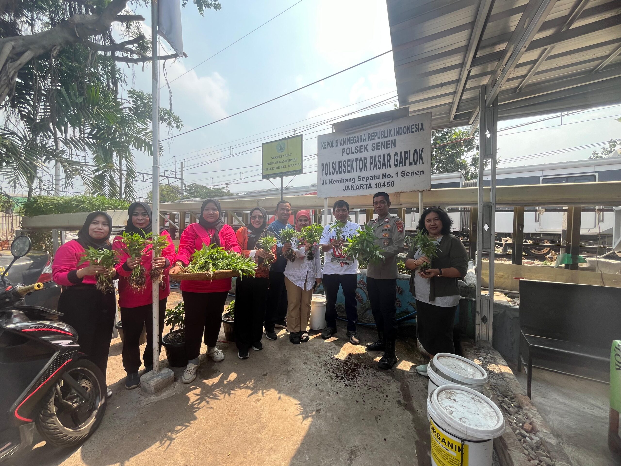 Panen Kangkung Bersama, Polsek Senen dan PKK Kramat Bagikan Hasil Kebun di Pasar Gaplok